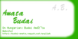 amata budai business card